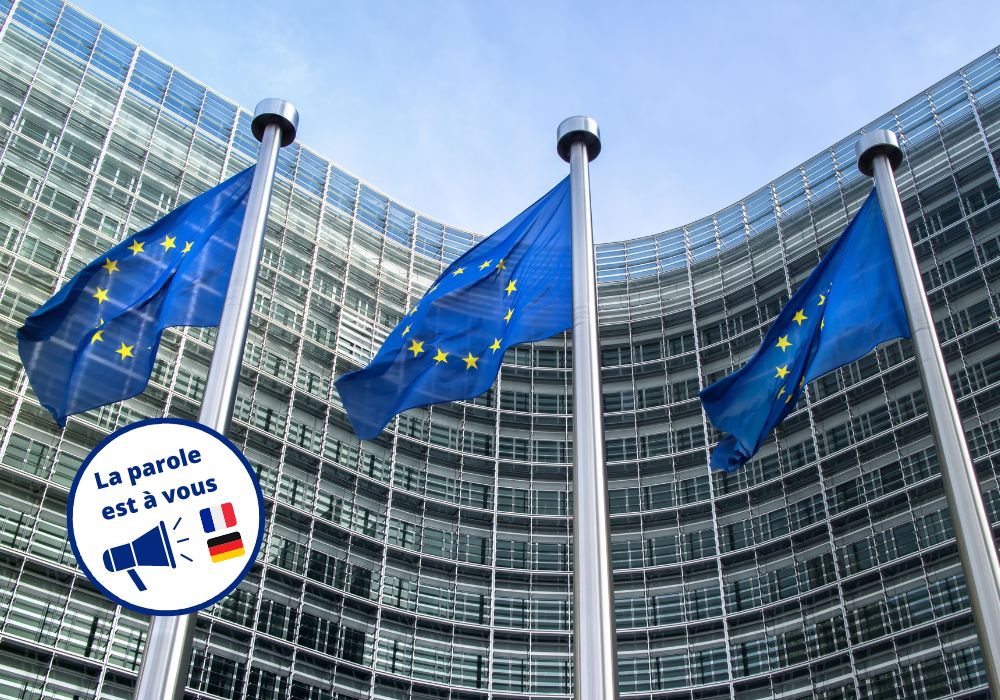 Das Bild zeigt drei europäische Flaggen, welche repräsentieren, dass Achim Dürschmid Europa-Berater ist.